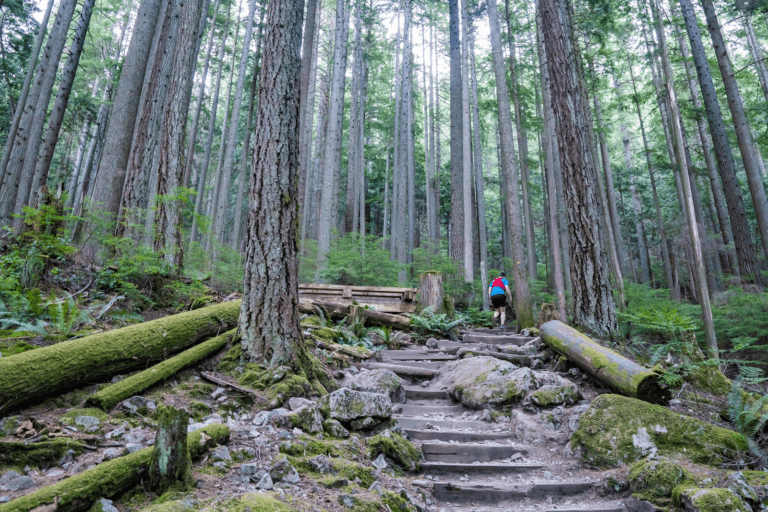 outdoor things to do in vancouver