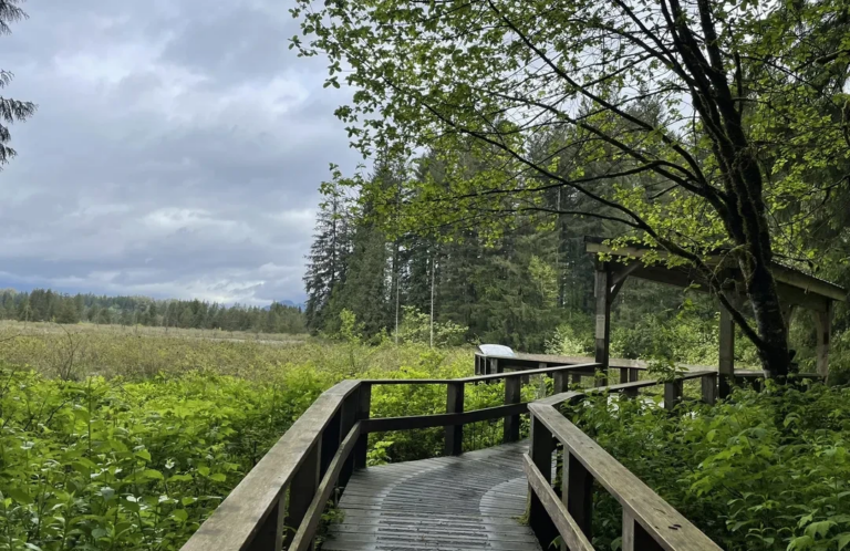 best parks in langley