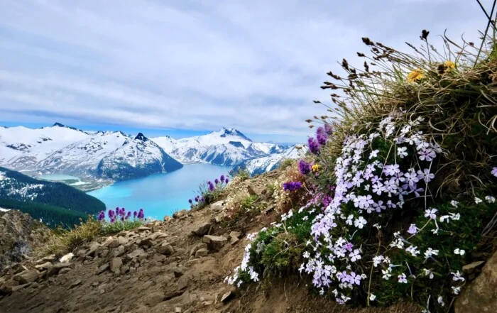 british columbia regions